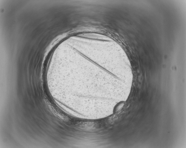 X0000085830104200704091708