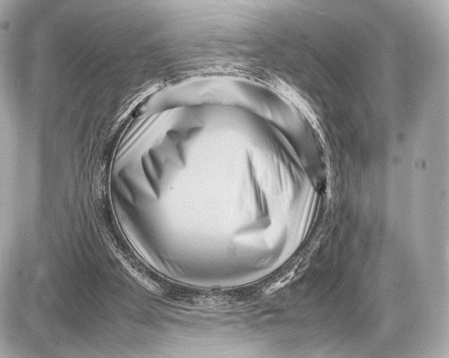 X0000085830105200704091708