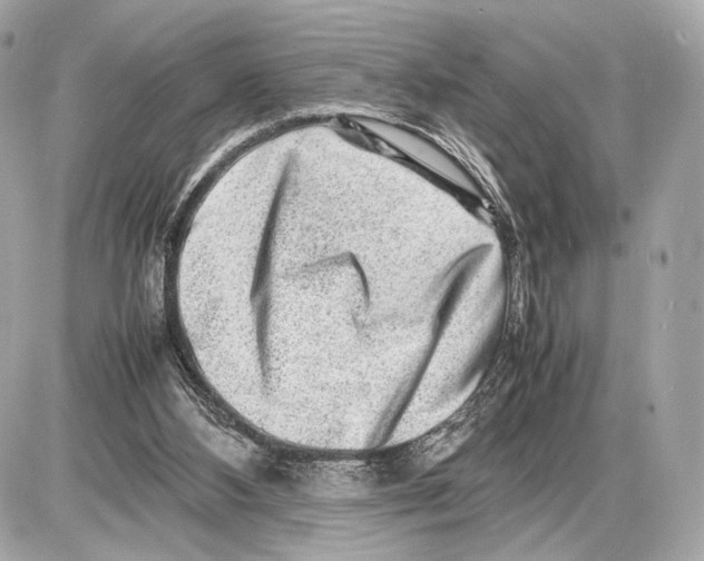 X0000085830108200704091708