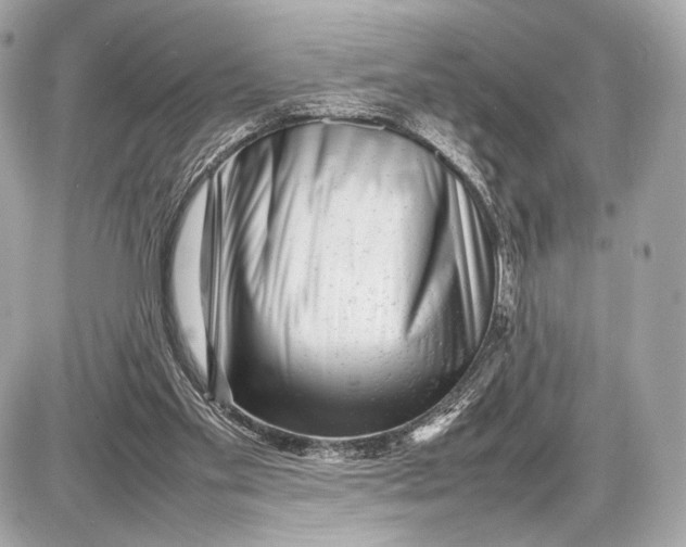 X0000085830109200704091708