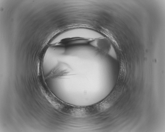 X0000085830110200704091708