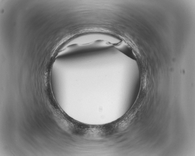 X0000085830111200704091708