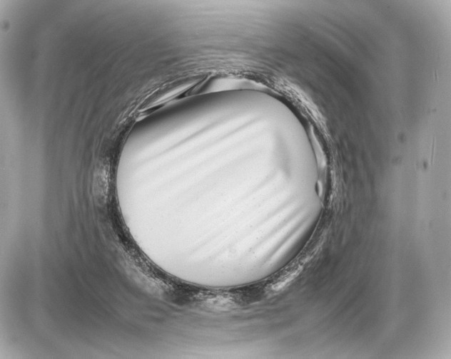 X0000085830113200704091708
