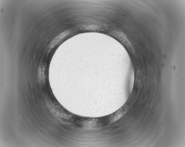 X0000085830116200704091708