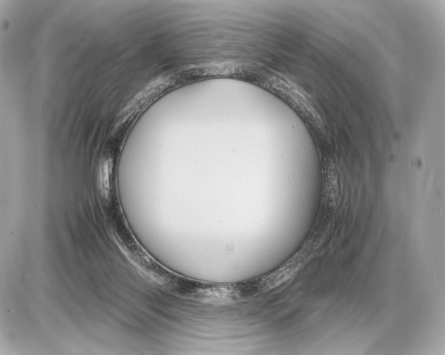 X0000085830118200704091708
