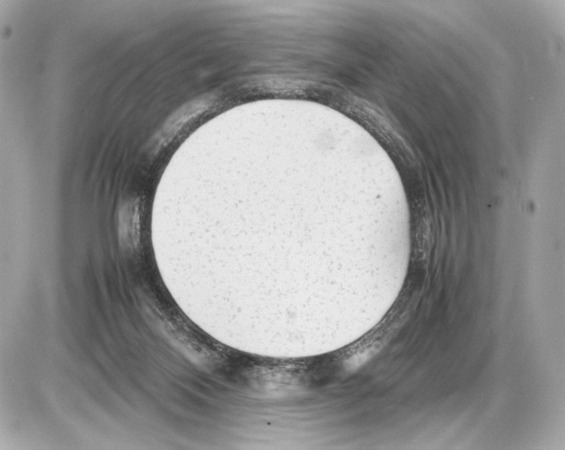 X0000085830120200704091708