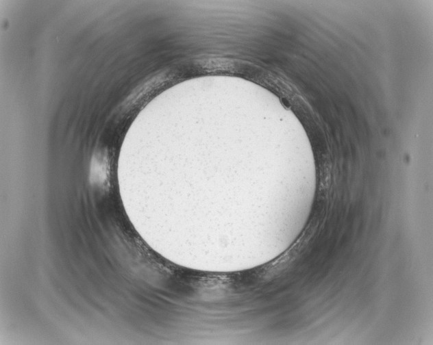 X0000085830124200704091708