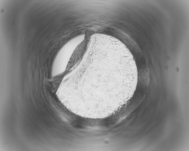 X0000085830127200704091708