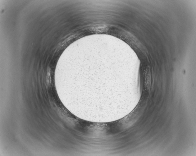 X0000085830128200704091708