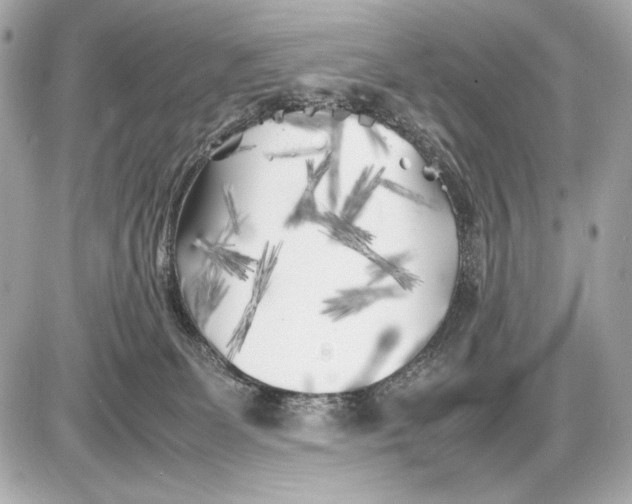 X0000085830131200704091707