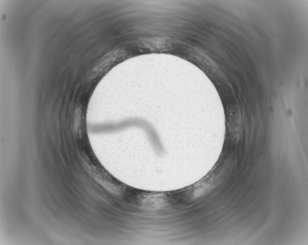 X0000085830132200704091707