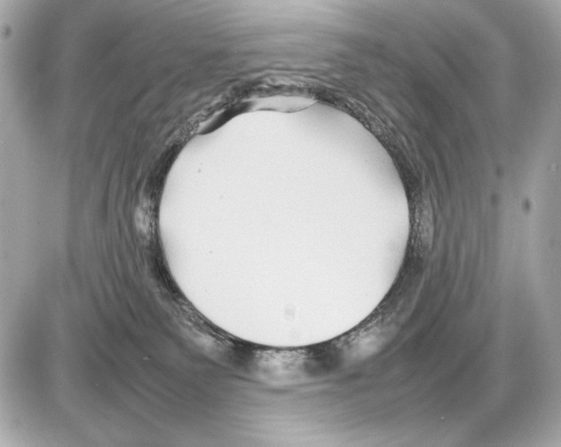 X0000085830135200704091707