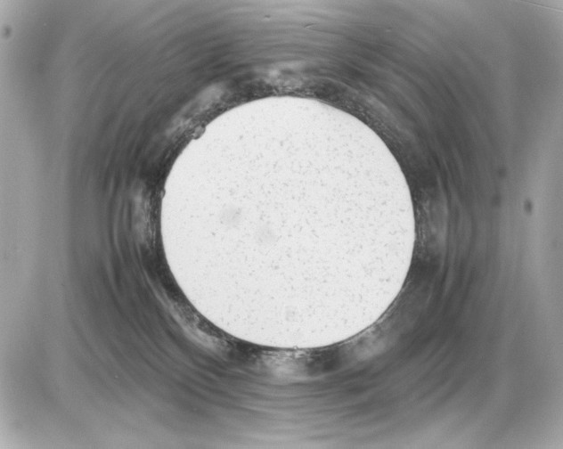 X0000085830136200704091707