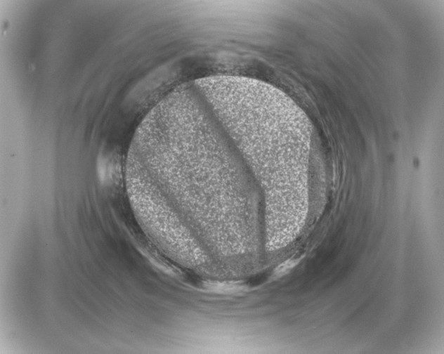 X0000085830137200704091707