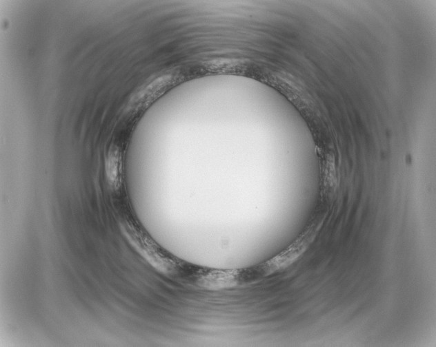 X0000085830138200704091707