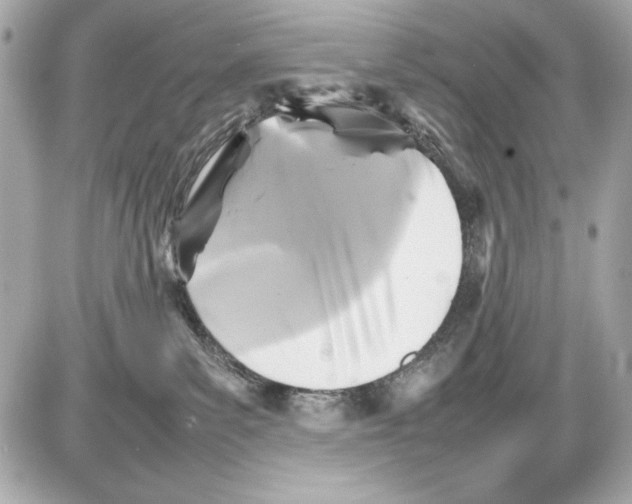 X0000085830139200704091707
