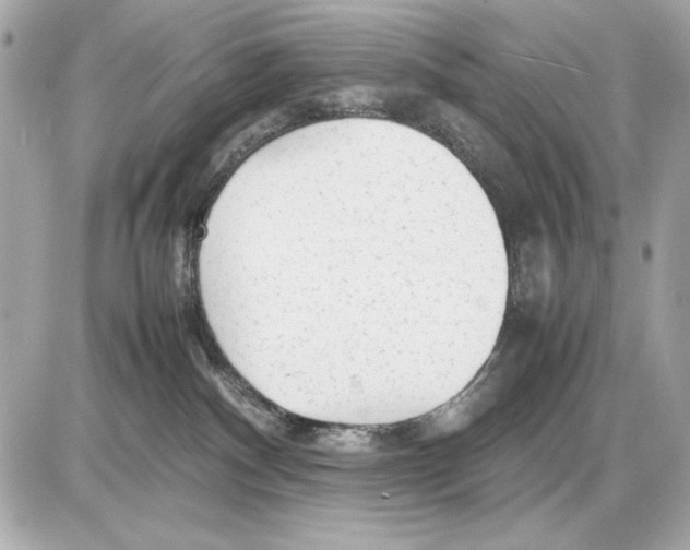 X0000085830140200704091707
