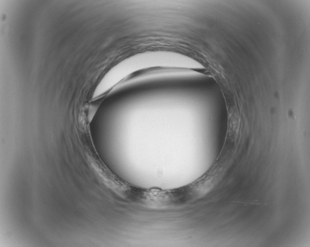 X0000085830141200704091707