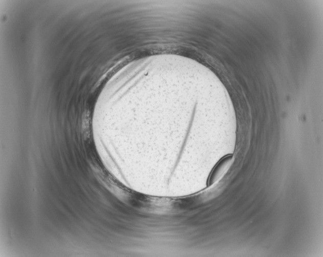 X0000085830144200704091707