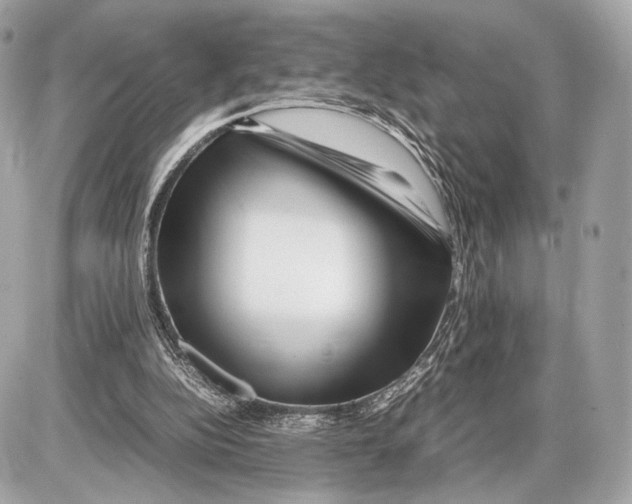 X0000085830152200704091707