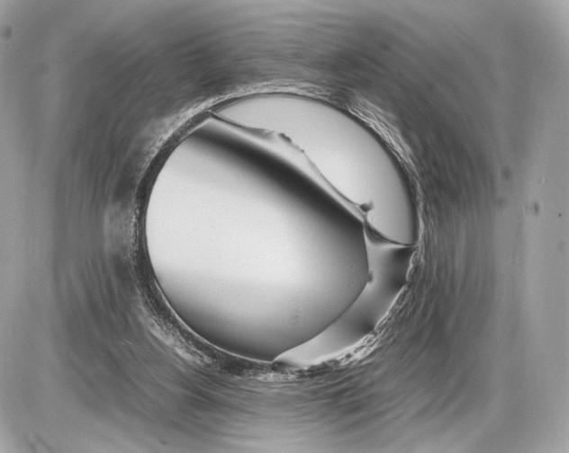 X0000085830156200704091707
