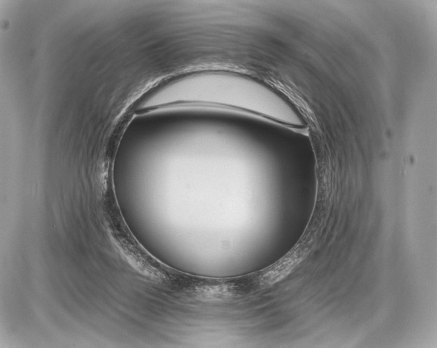 X0000085830160200704091707
