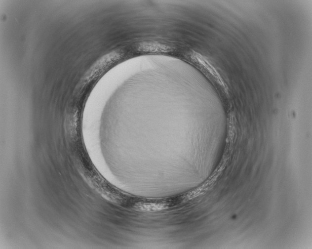 X0000085830163200704091707