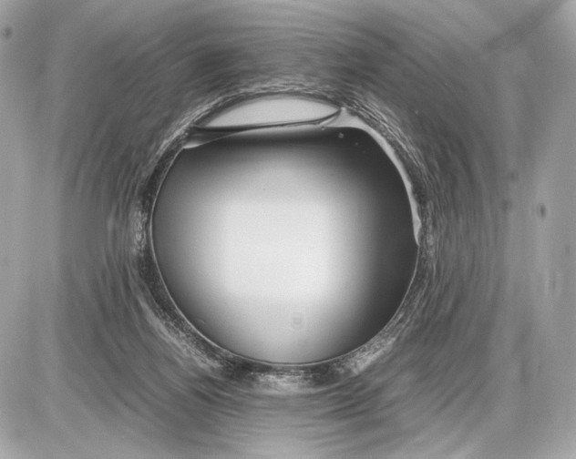 X0000085830164200704091707