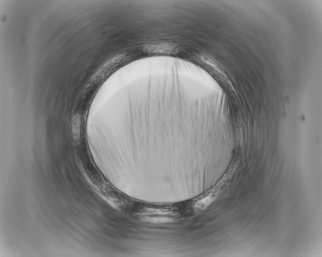 X0000085830167200704091707