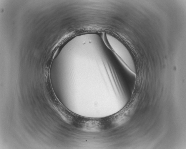 X0000085830168200704091707