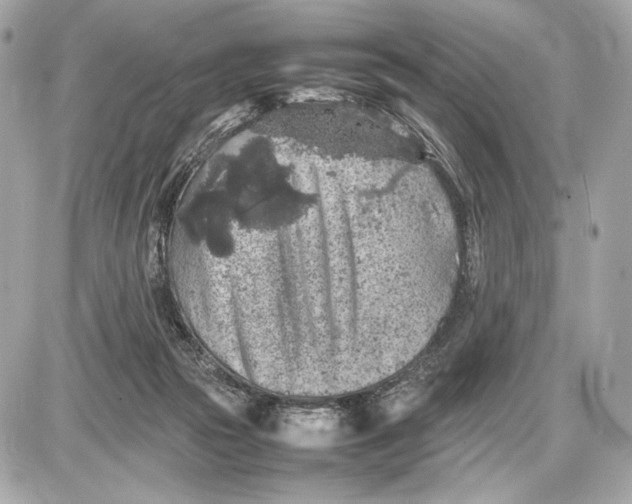 X0000085830169200704091707