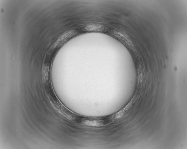 X0000085830171200704091707