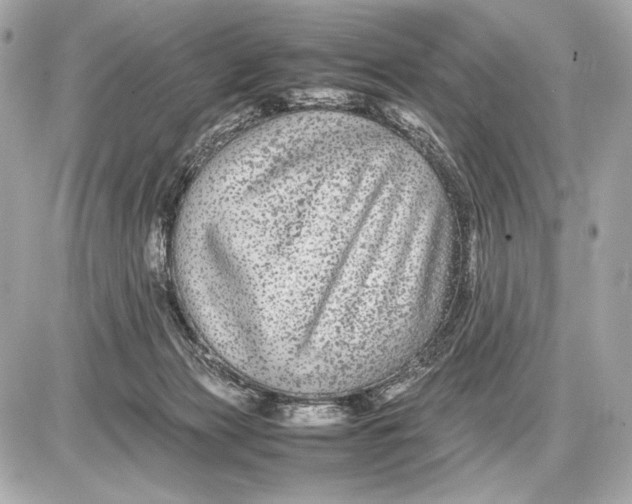 X0000085830173200704091707
