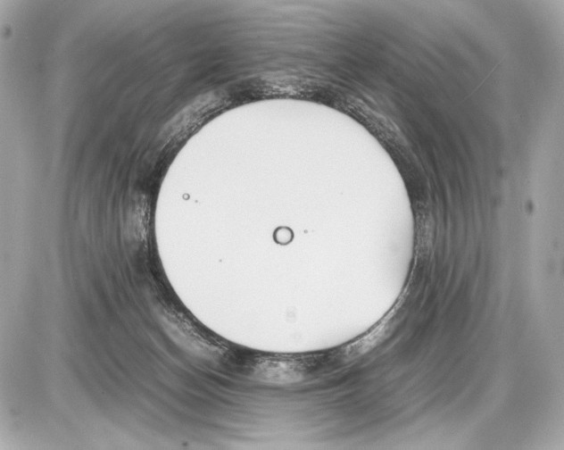 X0000085830174200704091707