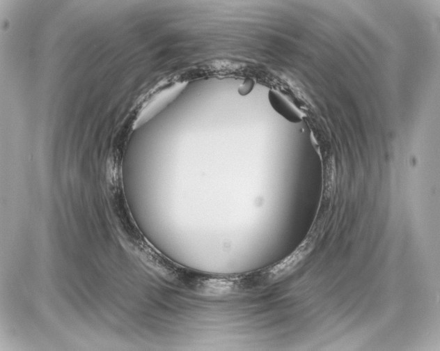 X0000085830176200704091707