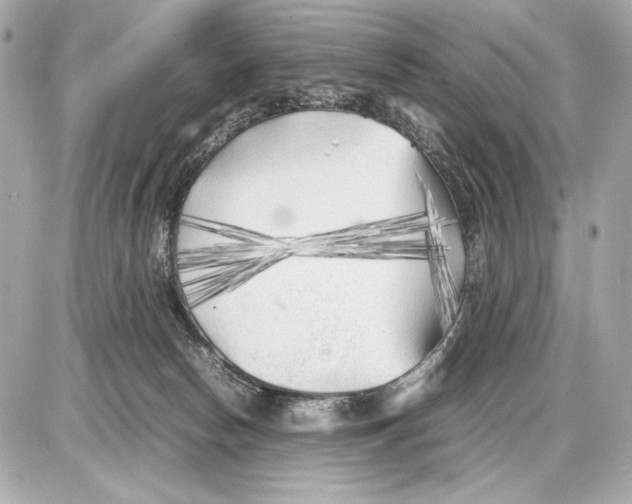 X0000085830178200704091707