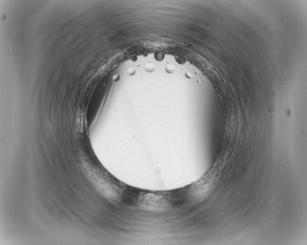 X0000085830180200704091707