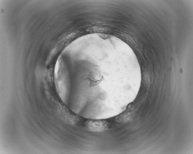 X0000085830181200704091707