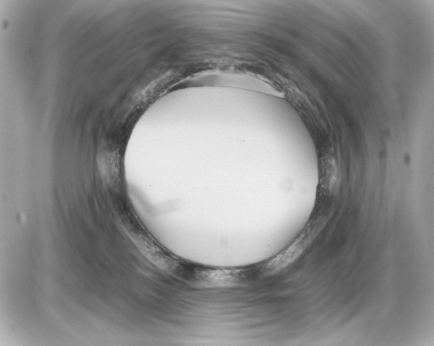 X0000085830184200704091707