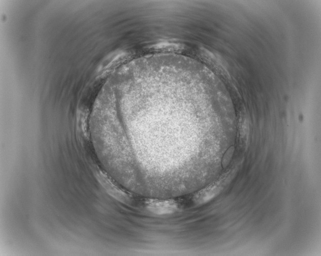 X0000085830185200704091707