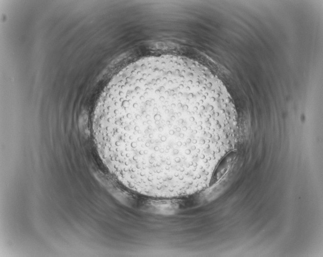 X0000085830187200704091707