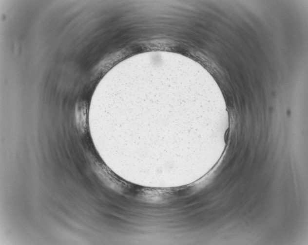 X0000085830190200704091707