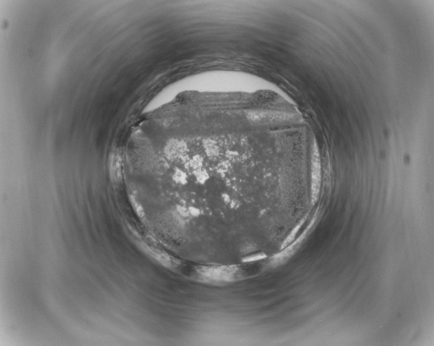 X0000085830191200704091707