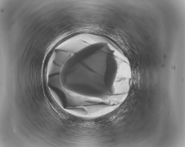 X0000085830196200704091706