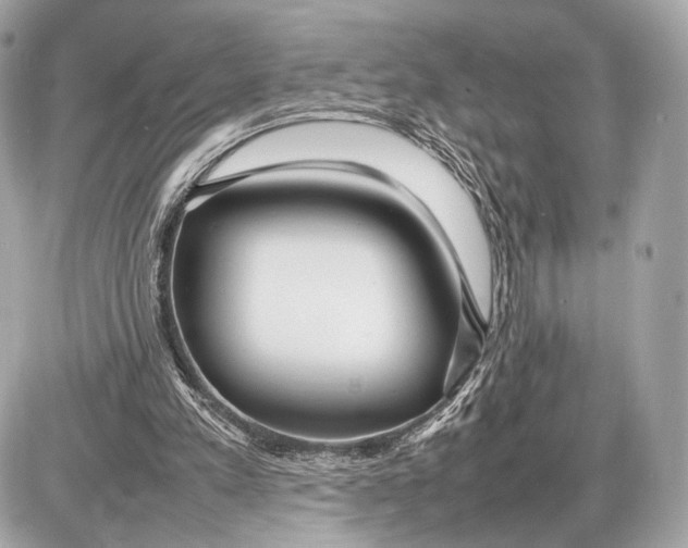 X0000085830197200704091706