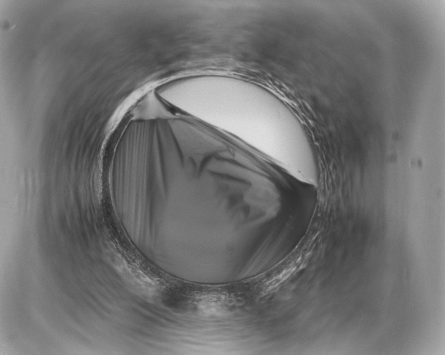 X0000085830200200704091706