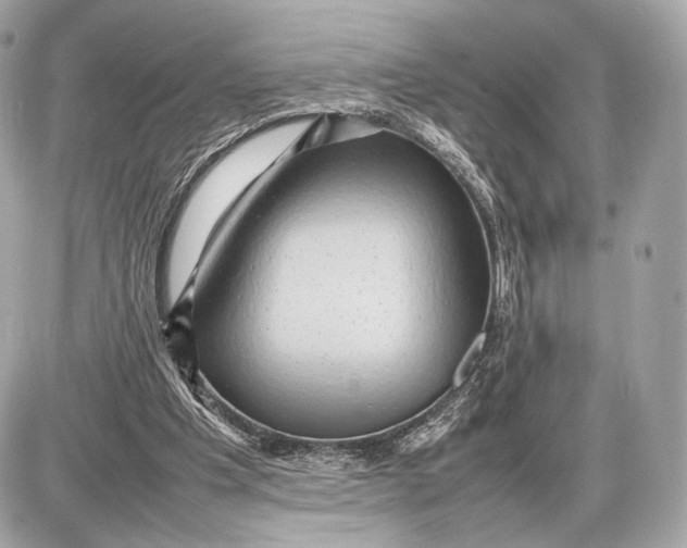 X0000085830201200704091706