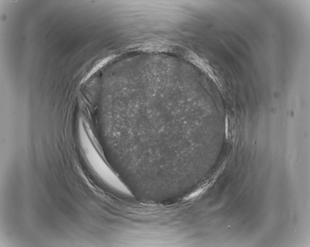 X0000085830205200704091706
