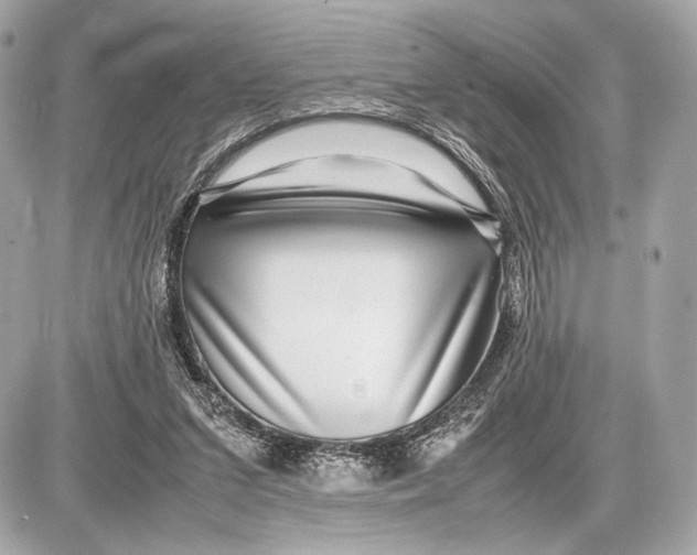 X0000085830207200704091706