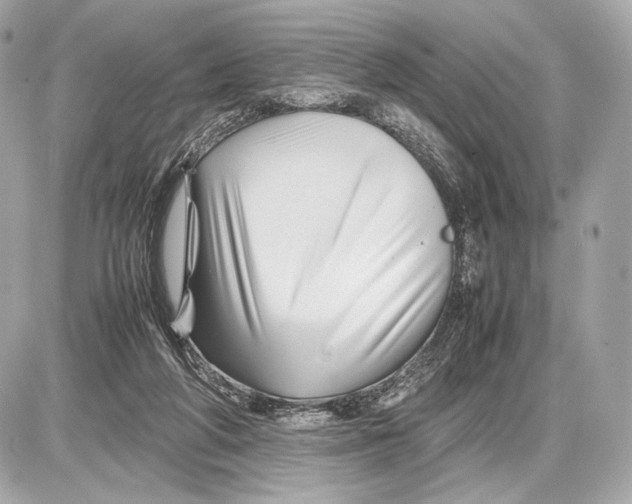 X0000085830210200704091706